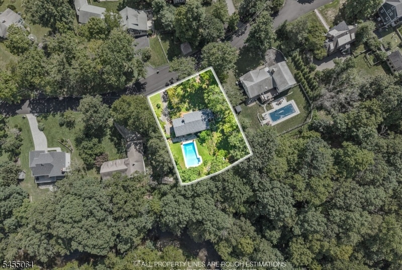 Drone Shot
