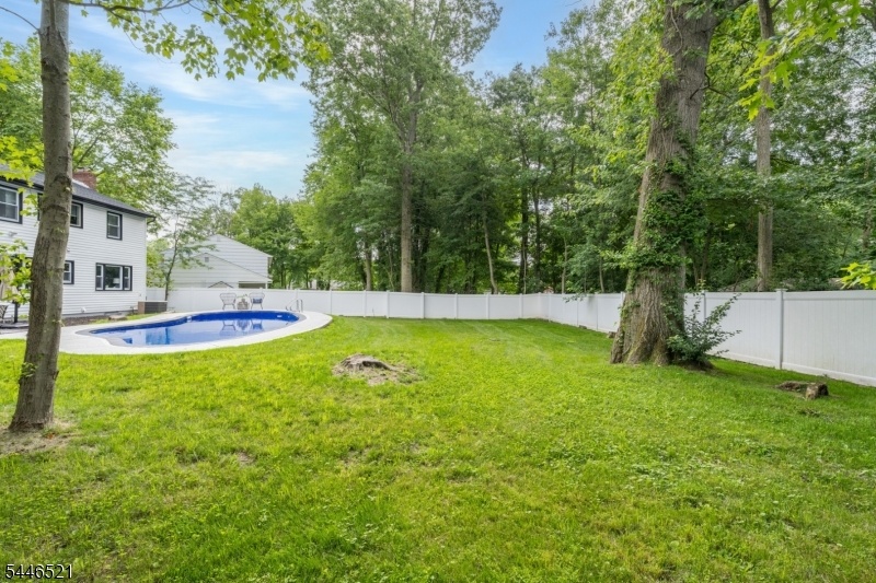 Backyard and Pool