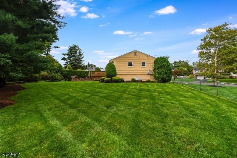 Tremendous backyard