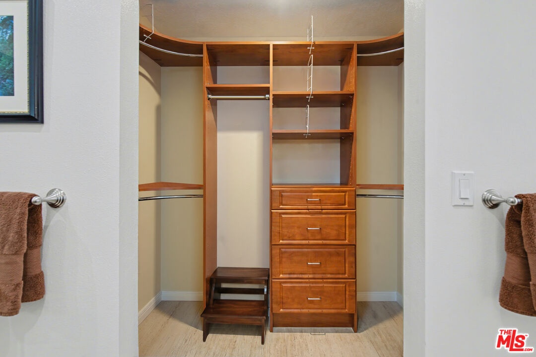 walk-in closet + additional cl
