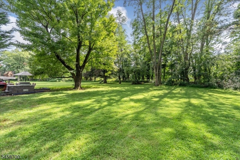 Large backyard