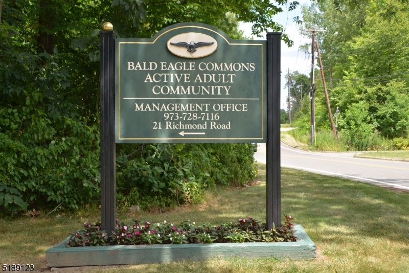 BALD EAGLE COMMONS!