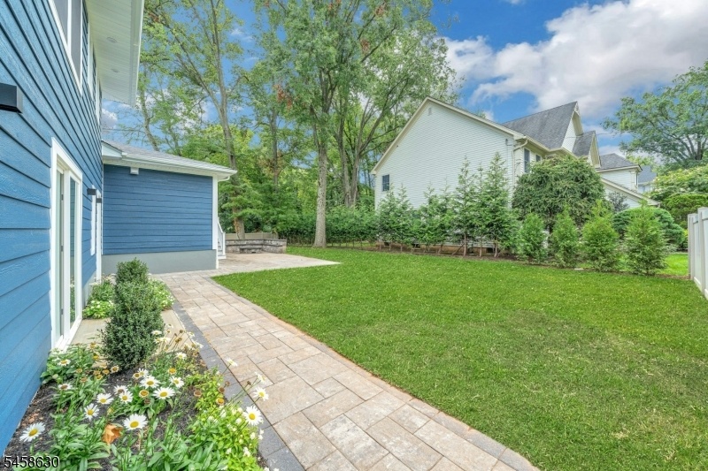 Expansive Yard