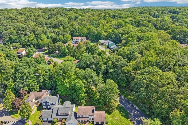 aerial