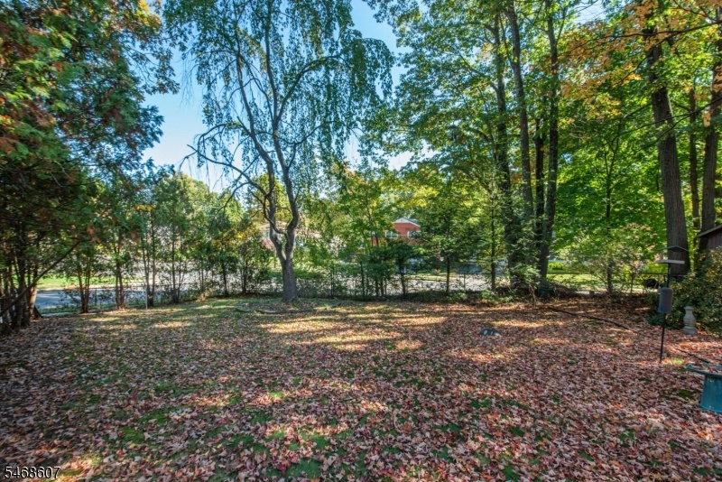 Large Rear yard