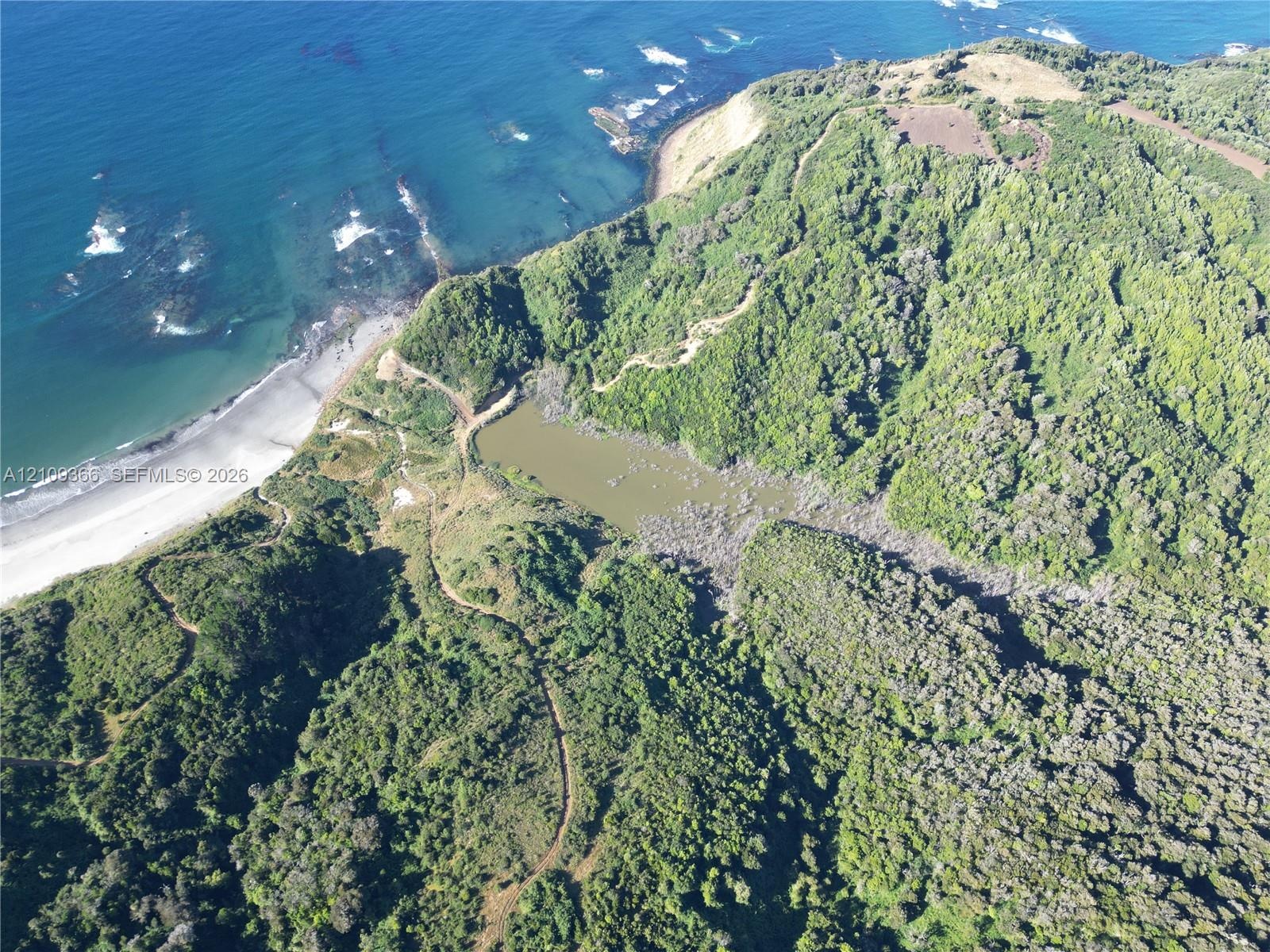 Aerial perspective featuring expansive coastal frontage, a private pond, rugged cliffside topography, and dense forest terrain