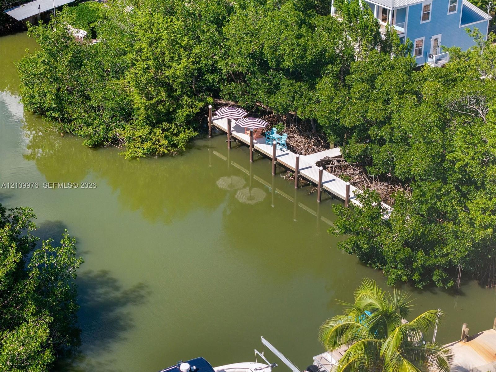 Private dock featuring a concrete platform, anchored pilings, and dense surrounding foliage