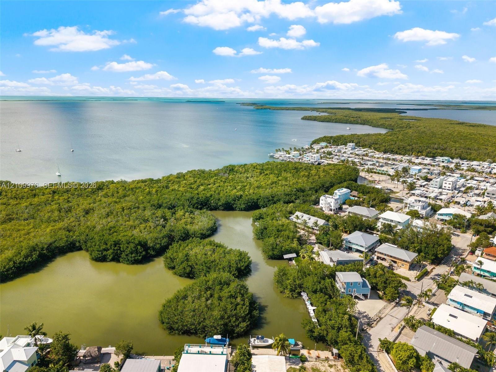 Aerial perspective featuring open water frontage, natural mangrove coastline, and proximity to coastal waterways