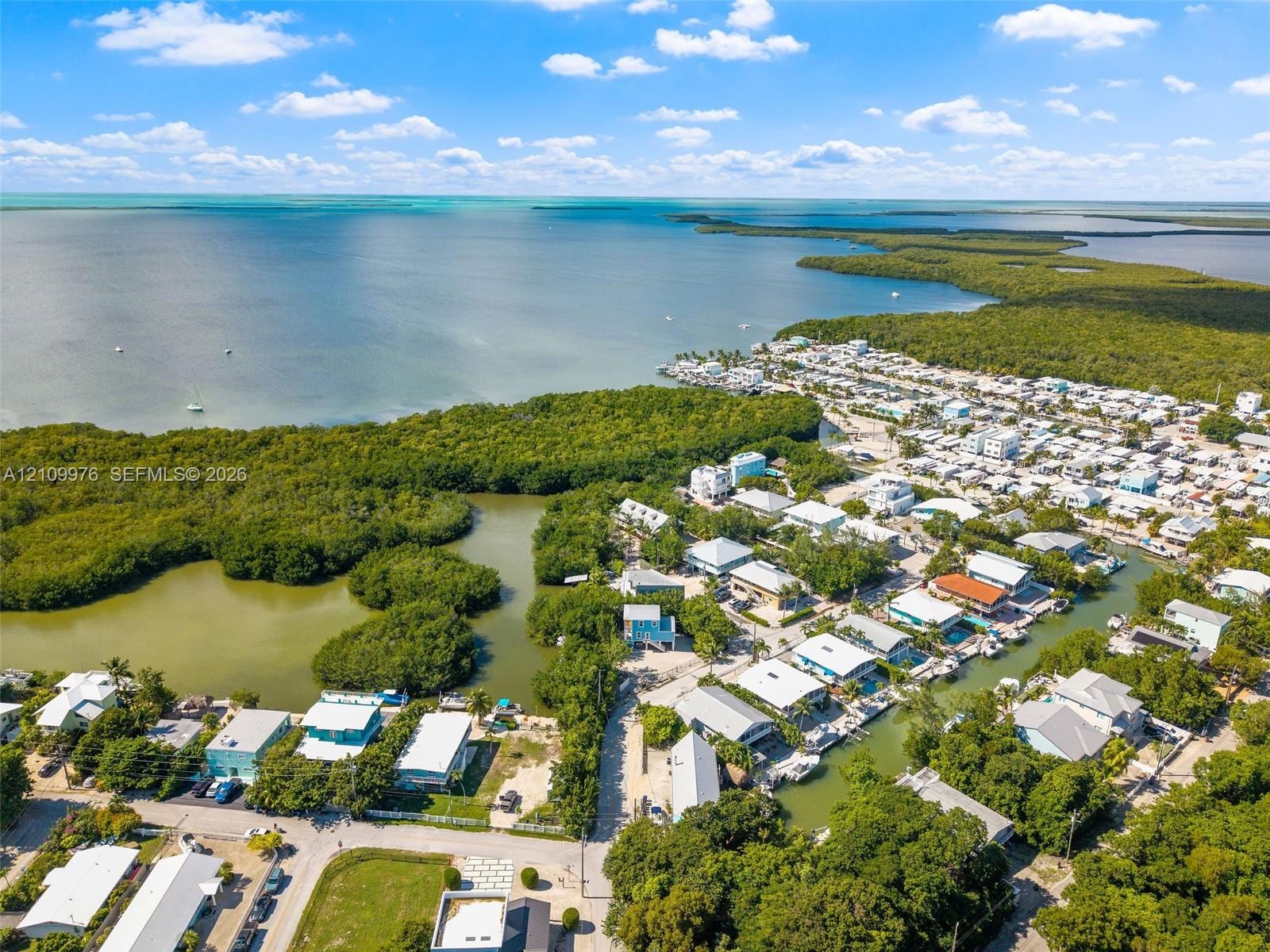 Aerial perspective showcasing waterfront access, direct proximity to open coastal waters, and extensive native mangrove vegetation
