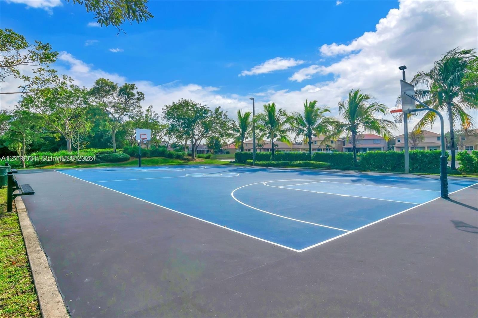 Hard-surface outdoor basketball court featuring painted boundary lines, dual hoops, and integrated lighting fixtures surrounded by landscaping