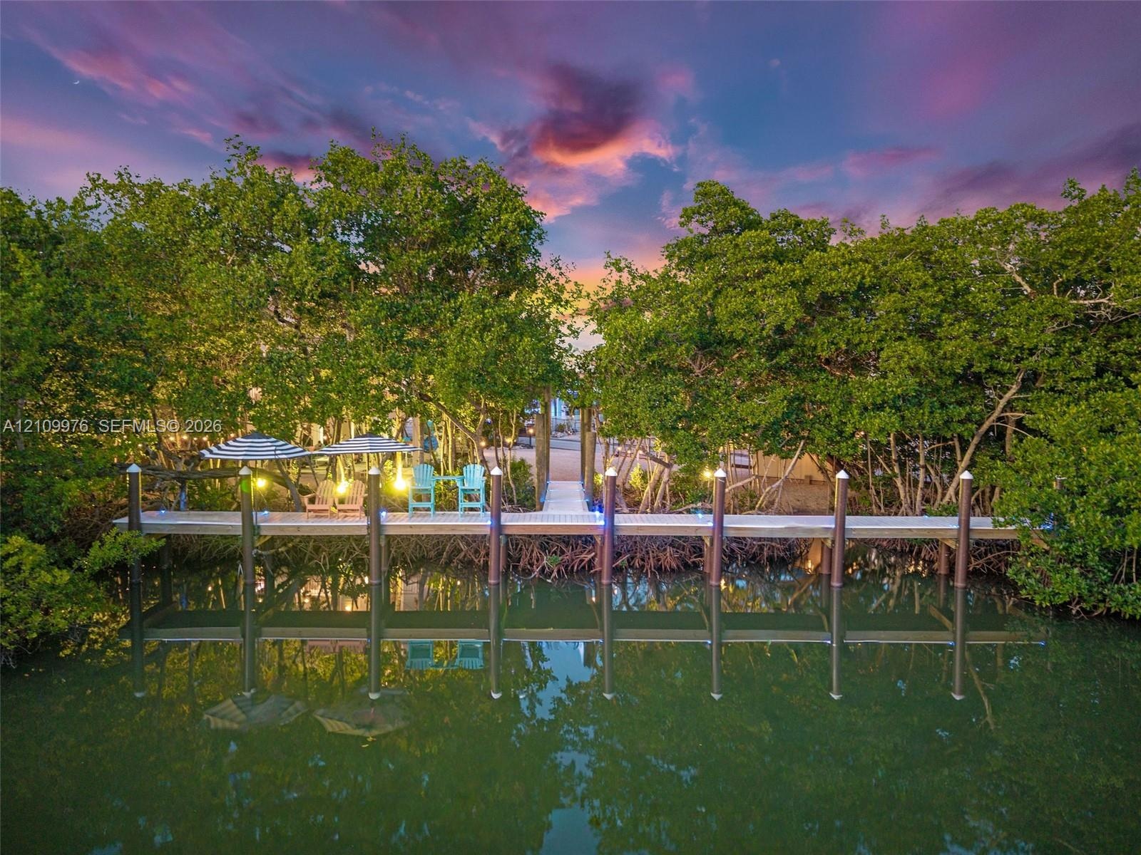 Waterfront wooden dock featuring structural pilings, integrated string lighting, and direct access to mature mangrove vegetation