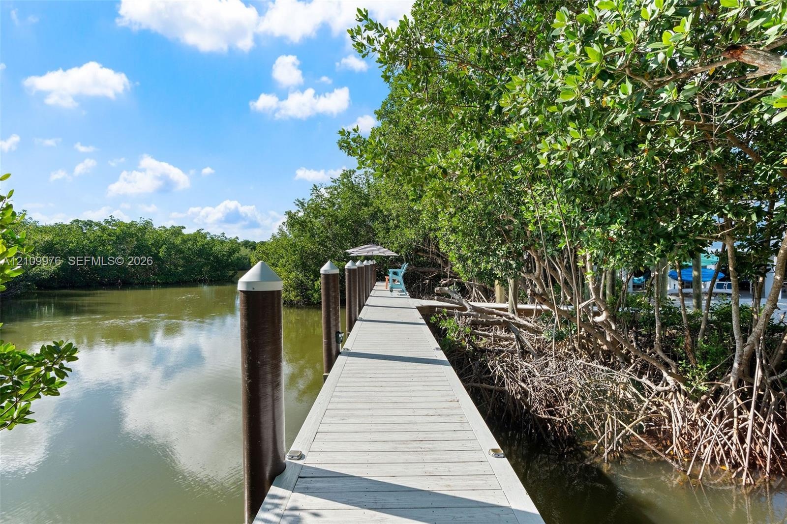 Private dock with composite decking, capped mooring pilings, and dense mangrove canopy