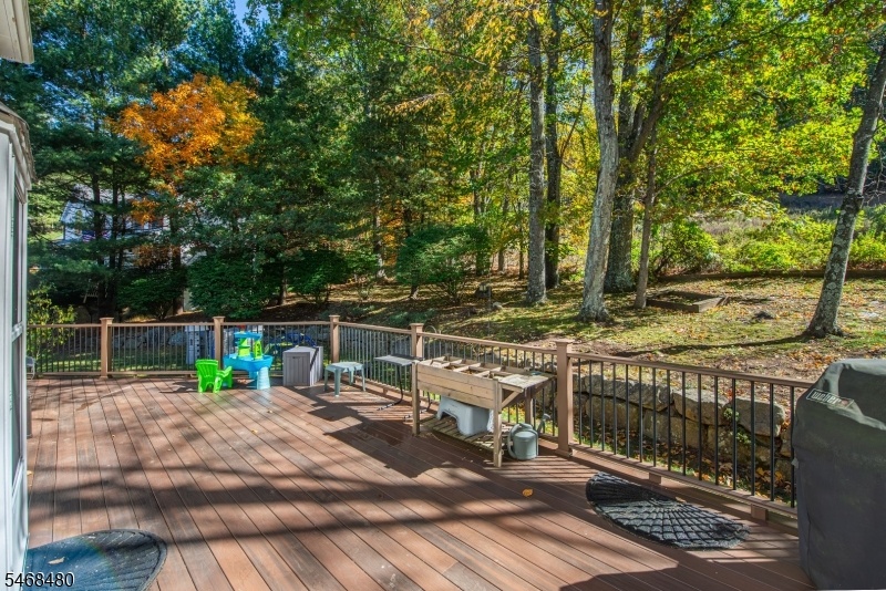Back Deck