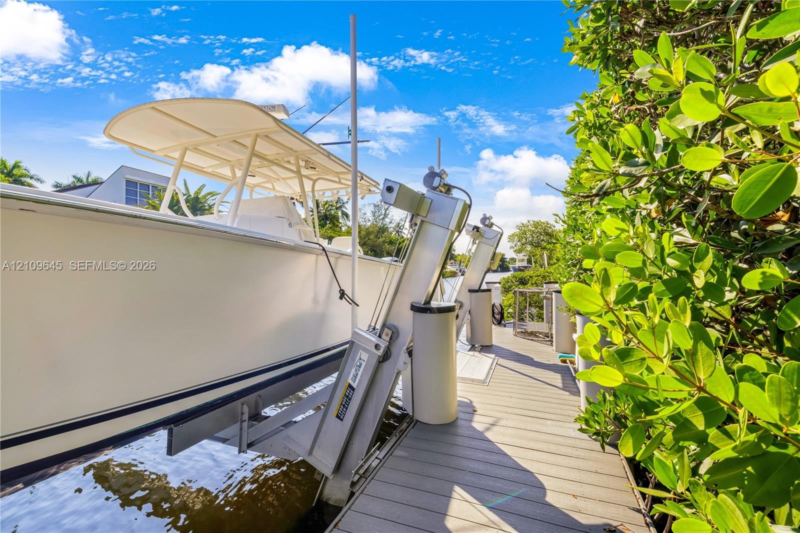 Private dock featuring a mechanical boat lift, composite decking, and mature landscaping