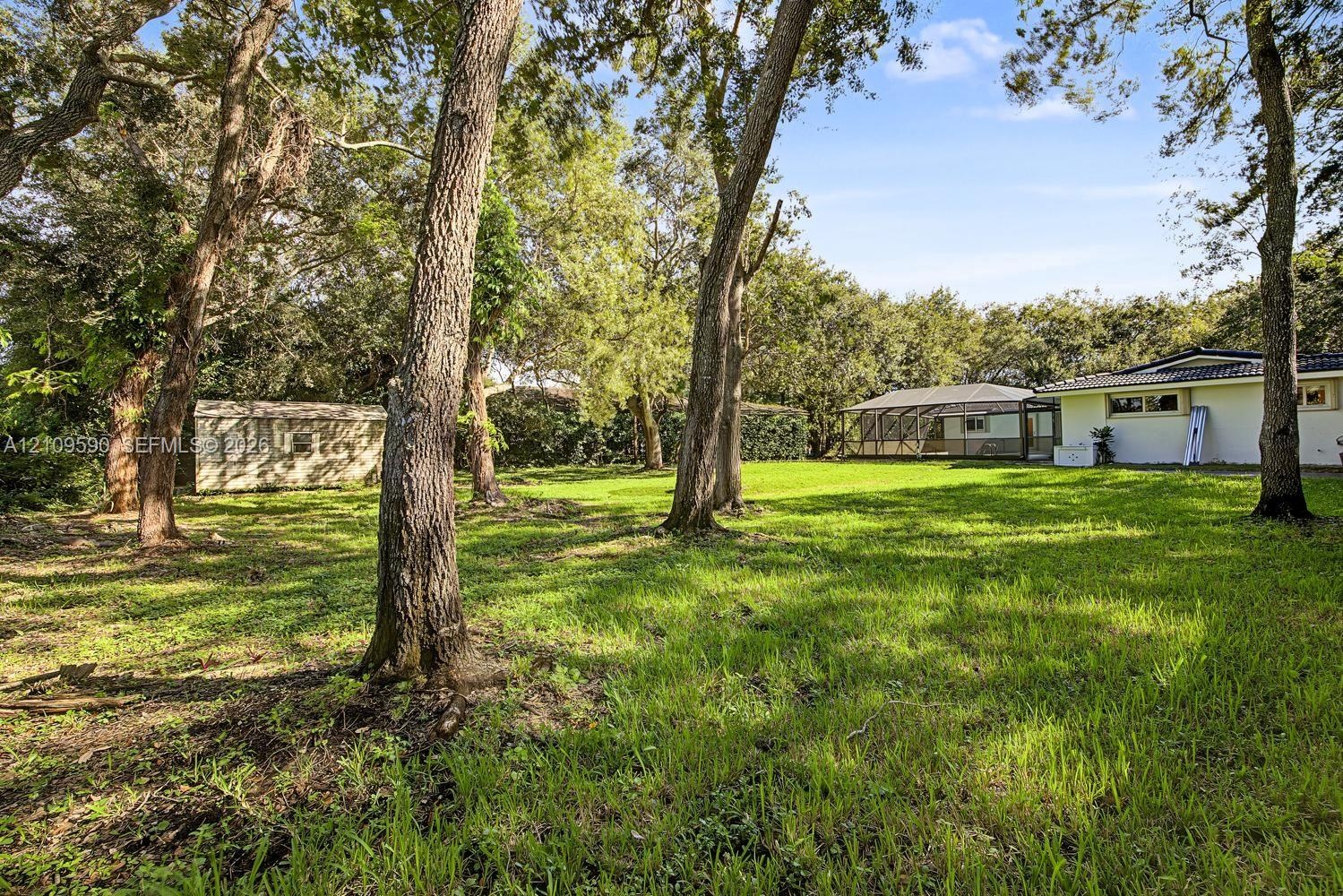 Expansive grassy grounds featuring mature hardwood trees, a detached storage shed, and a screened-in rear porch