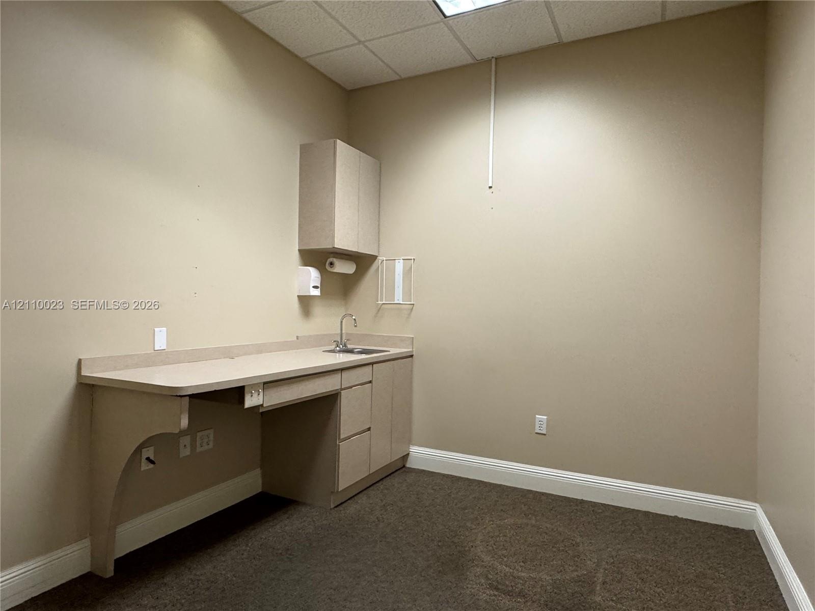 Built-in cabinetry with laminate countertop, integrated sink with faucet, wall-mounted upper storage cabinet, and carpeted flooring