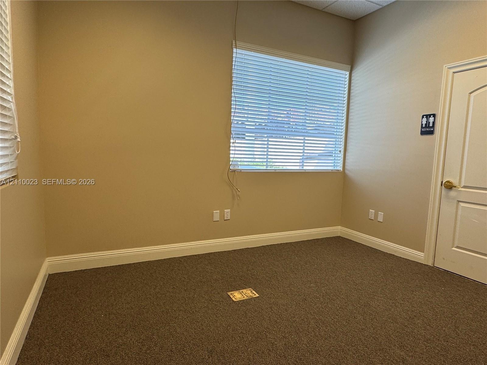 Neutral interior space featuring carpeted flooring, a large window with horizontal blinds, and a solid-core paneled door