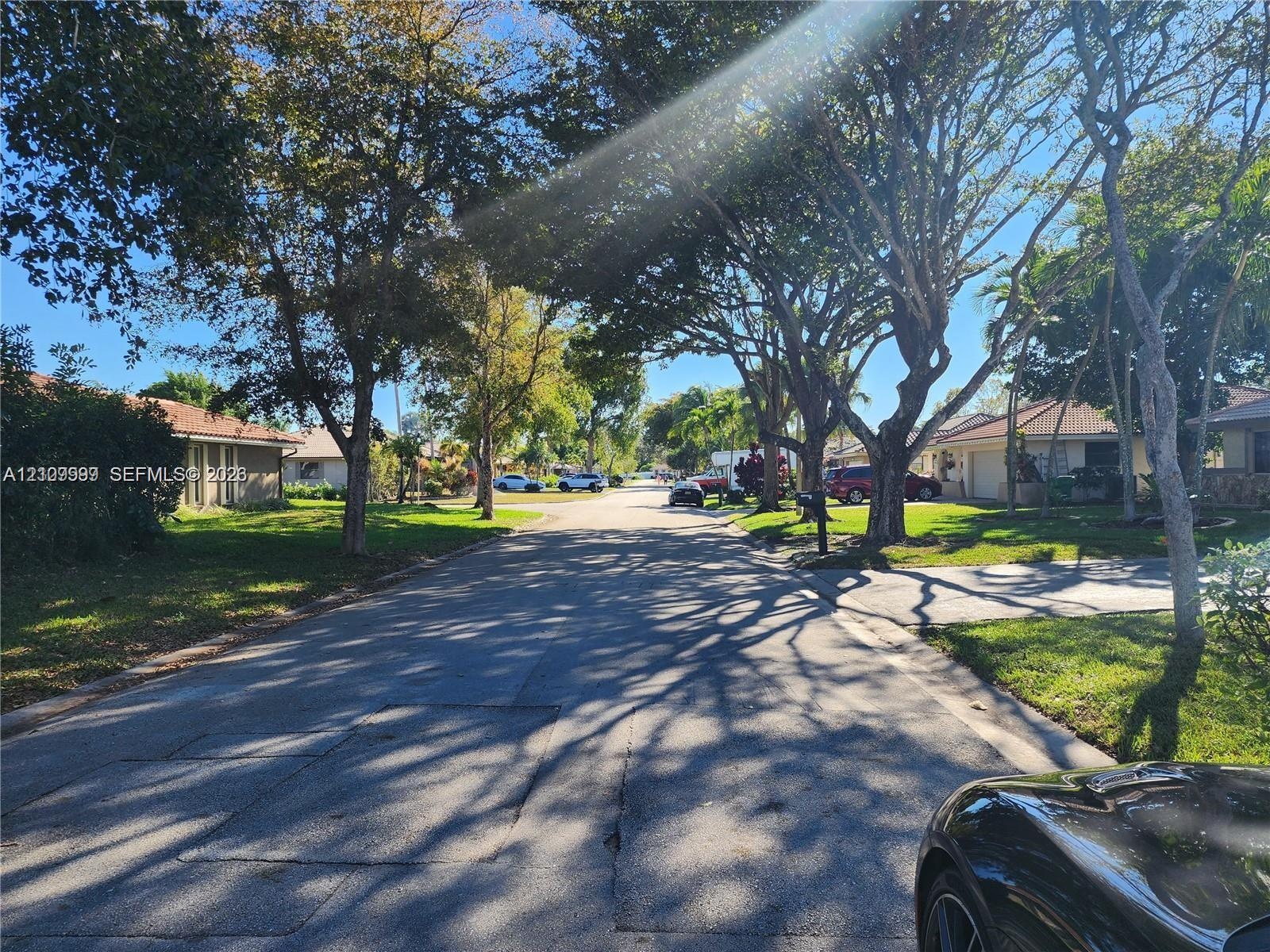 Residential street featuring mature shade trees, paved roadway, and manicured green space