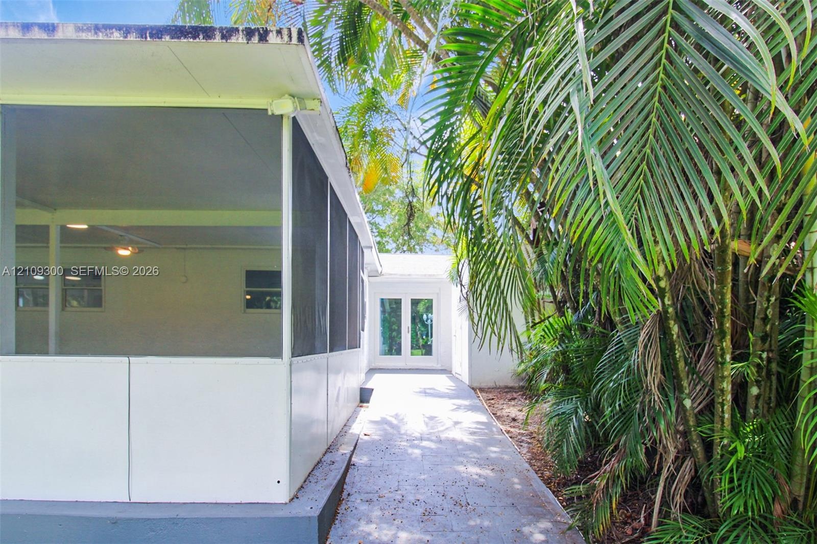 Screened lanai featuring a concrete patio, dual glass-panel entry doors, and mature palm trees
