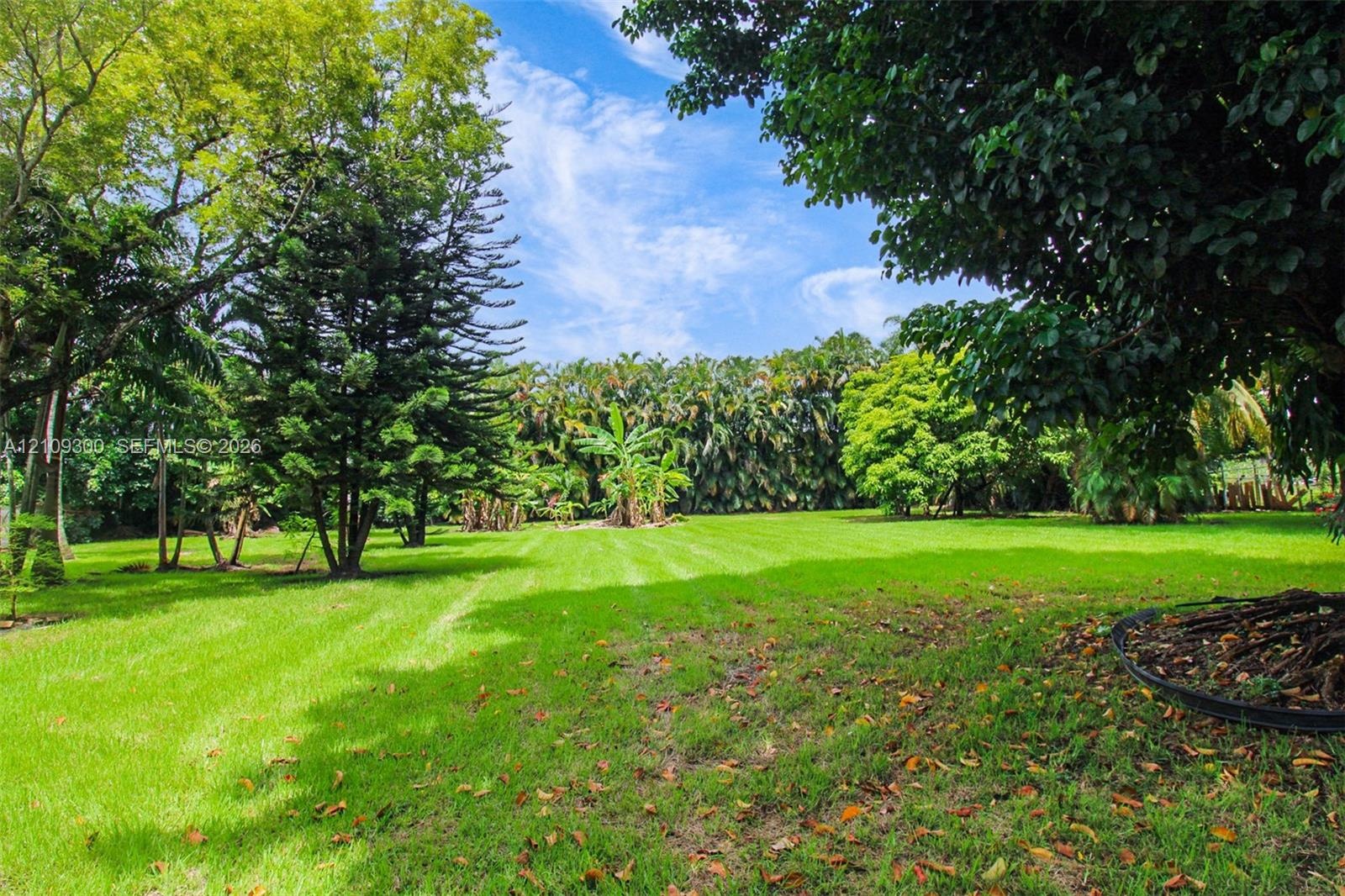 Expansive grounds featuring a manicured lawn, mature trees, and dense perimeter landscaping