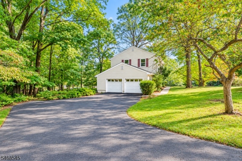 Side view/driveway