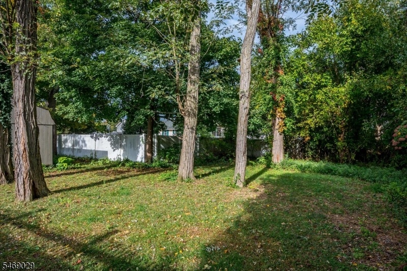 wooded lot
