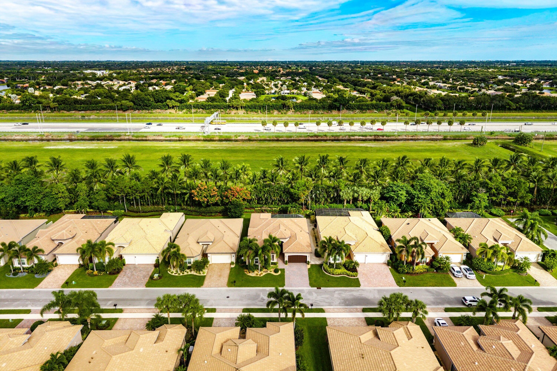 Aerial perspective of a suburban neighborhood featuring paved streets, multi-textured rooflines, and mature landscaping including integrated palm tree