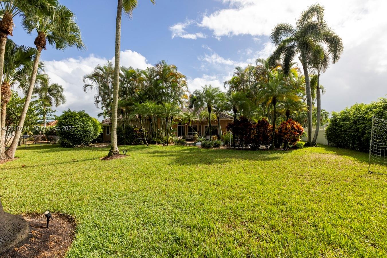 Expansive backyard featuring a large grass lawn, mature palm trees, perimeter shrubbery, and a solid fence enclosure