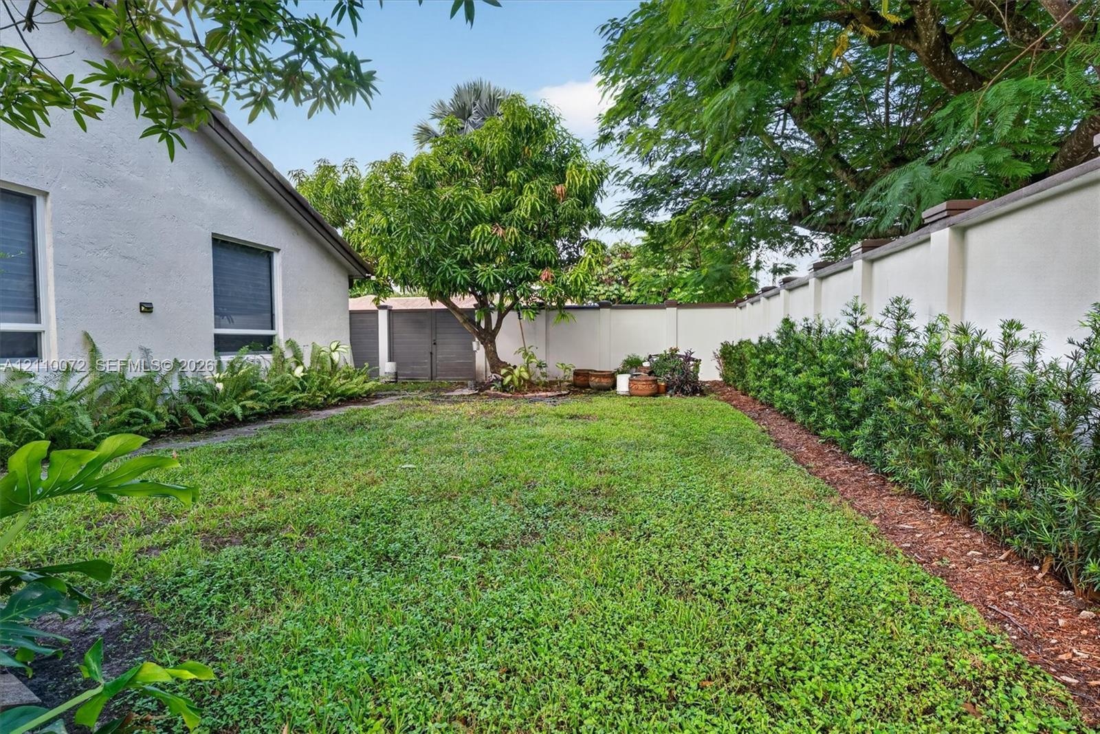 Private backyard featuring a grass lawn, perimeter masonry wall, mature tree, and shrubbery borders