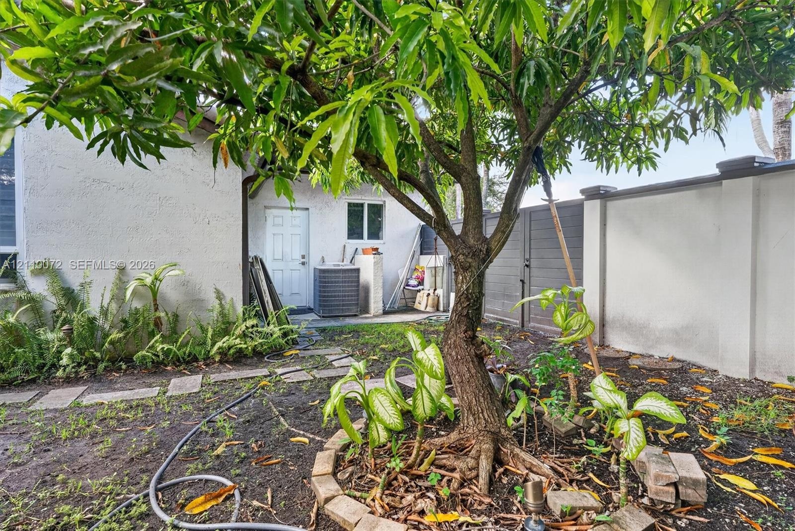 Rear exterior space featuring a mature shade tree with a brick border, concrete paver pathway, and perimeter privacy fencing