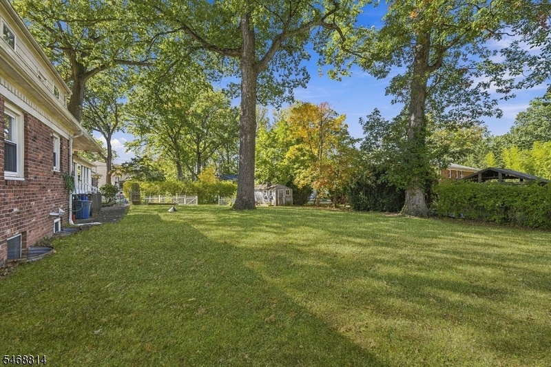 Yard (View 3)