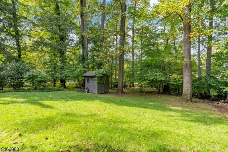 large yard with shed