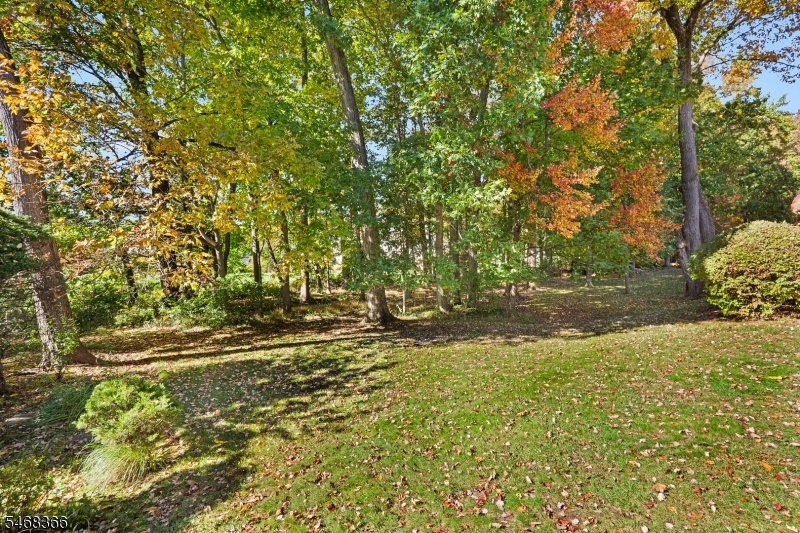 backyard area