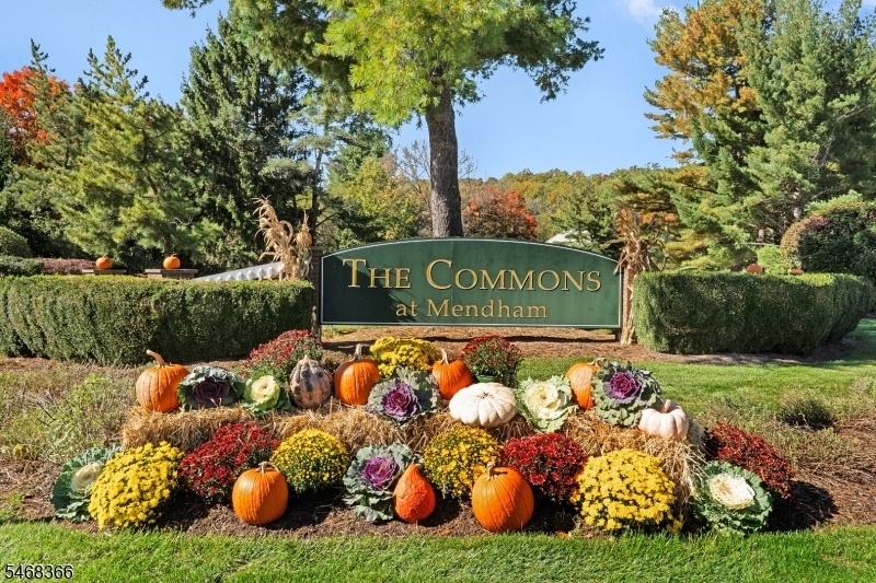 entrance to commons-gated