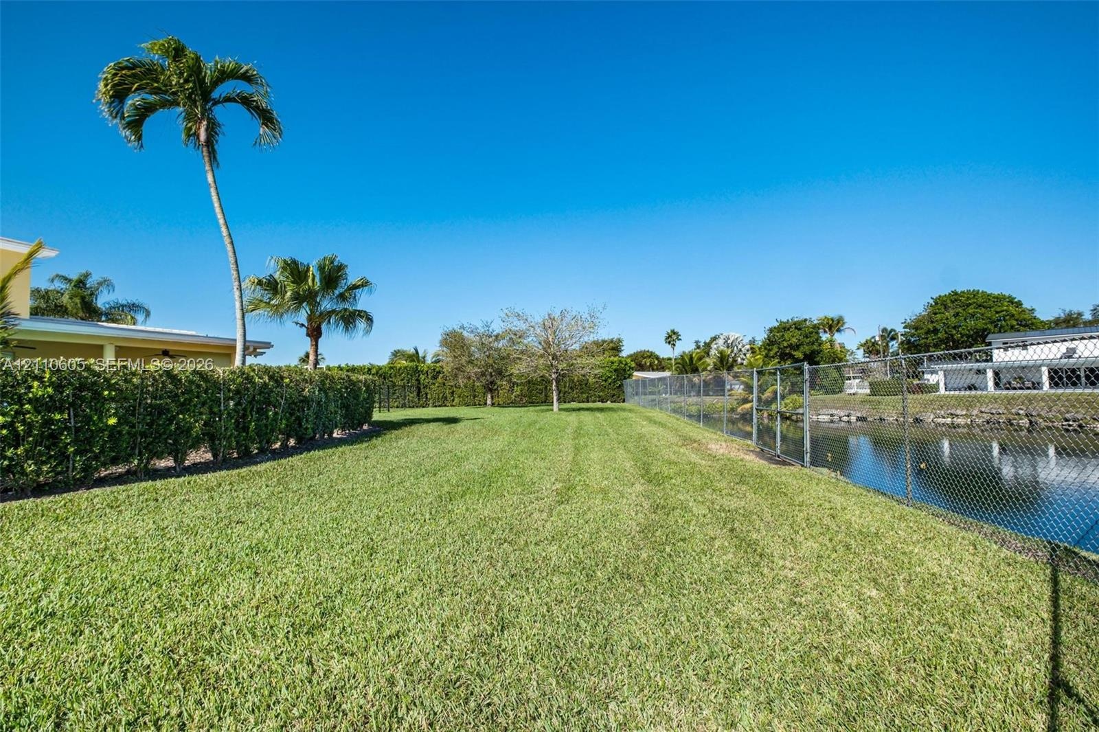 Backyard featuring a manicured lawn, perimeter hedge, chain-link fencing, palm trees, and waterfront access
