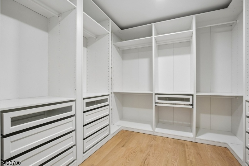Walk In closet Primary Bedroom