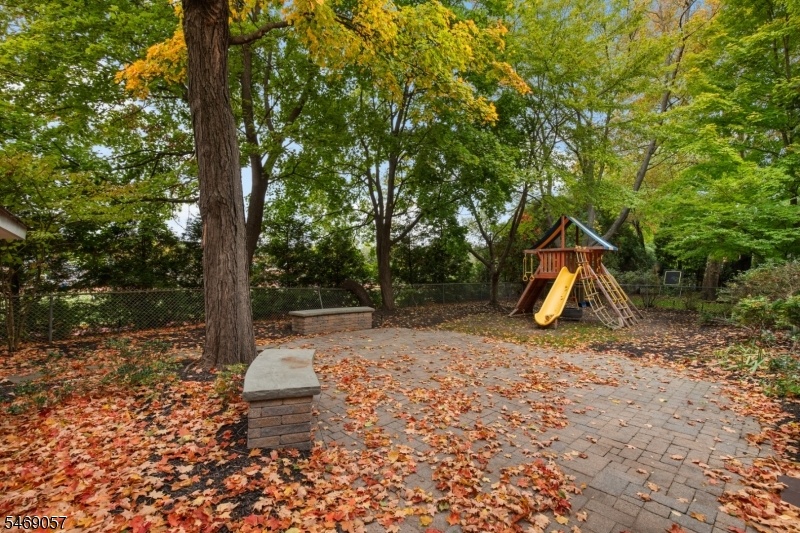 Backyard/Patio