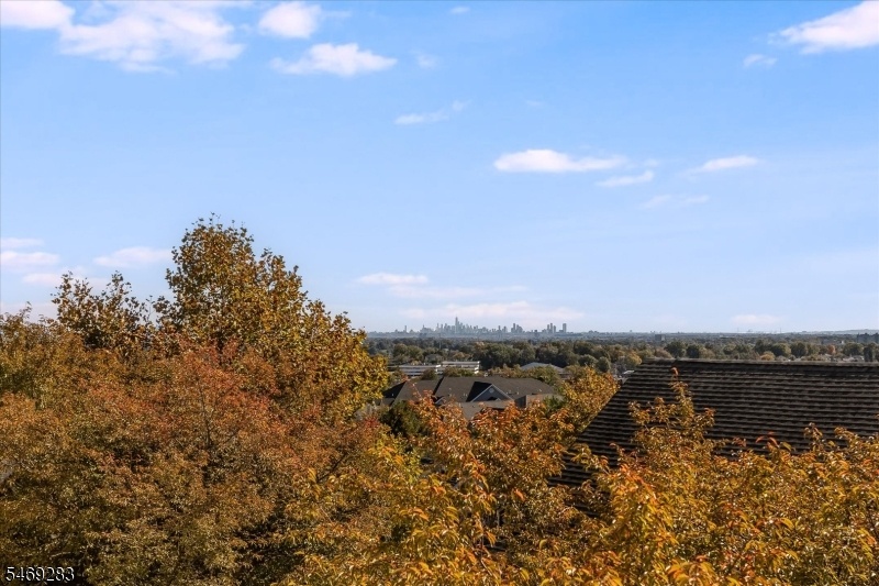 View from Primary