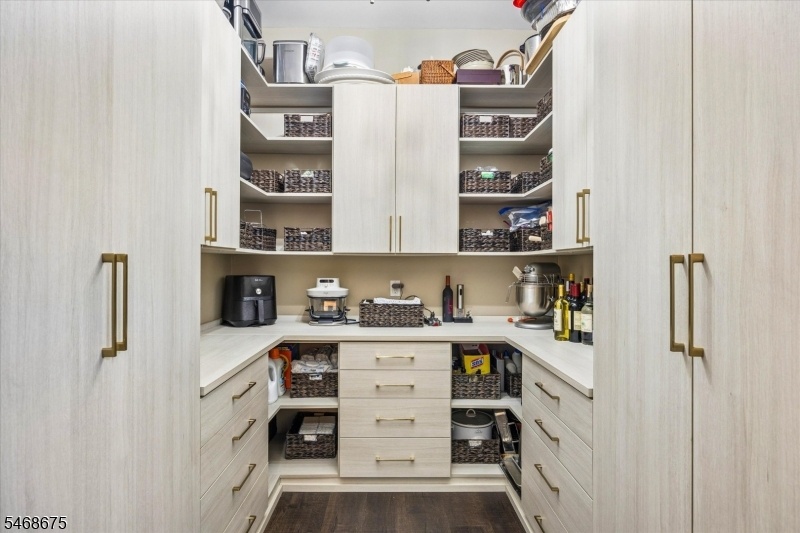 Walk-in Pantry