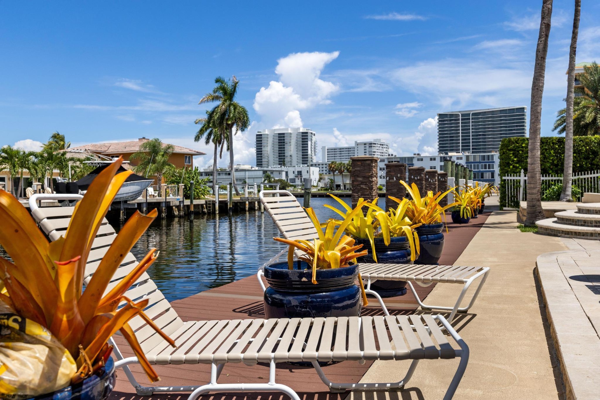 Back Yard & Dock