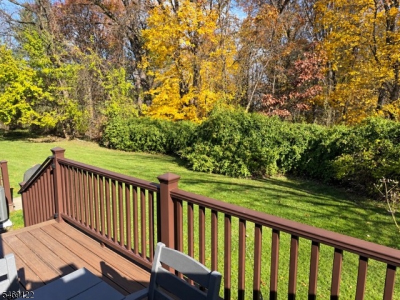 Deck to back yard