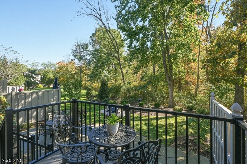Deck Views