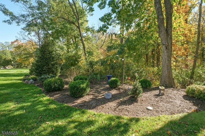 Wooded Views