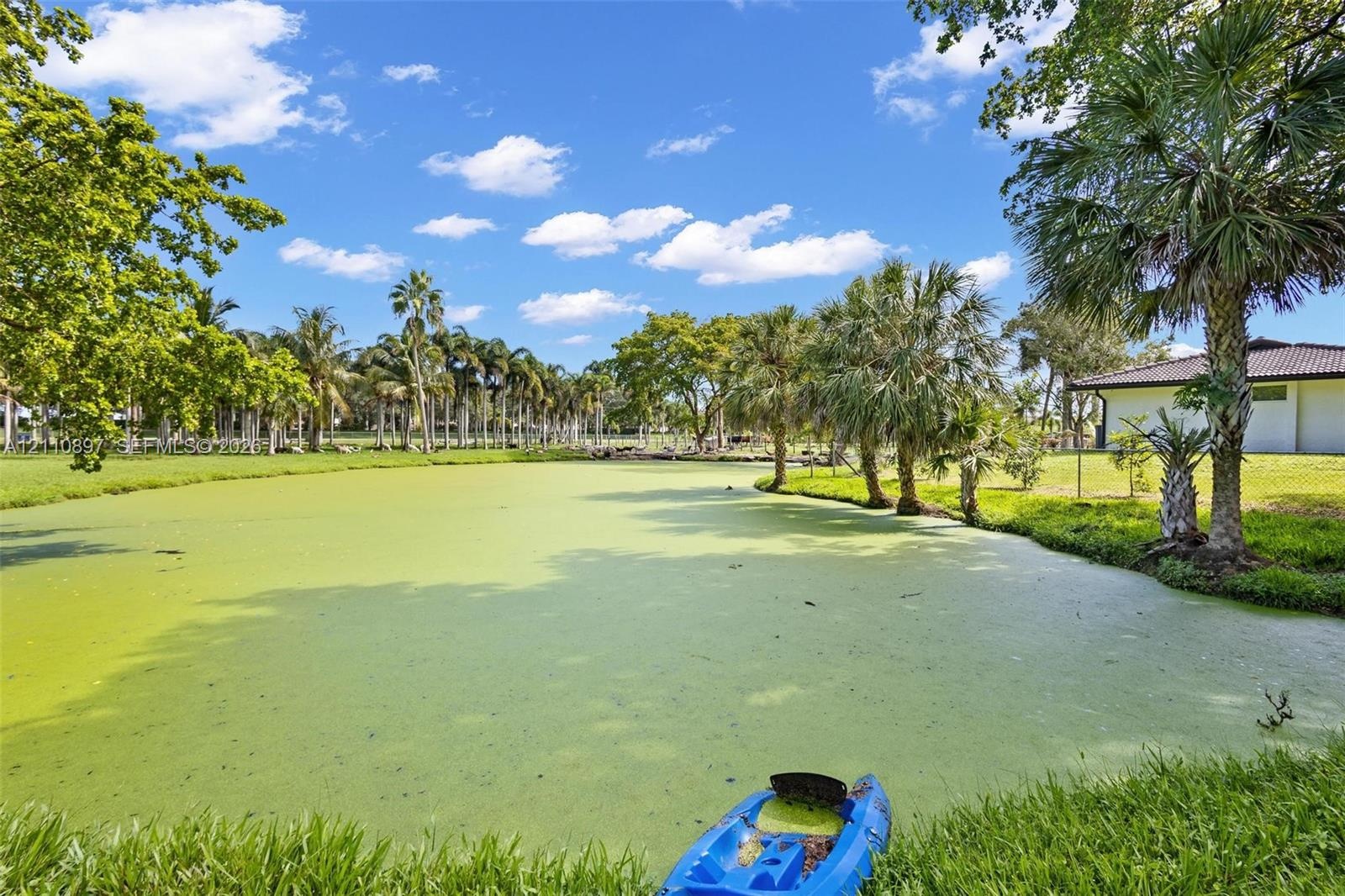 Waterfront grounds featuring a pond, mature palm trees, expansive lawn, and partial structure exterior