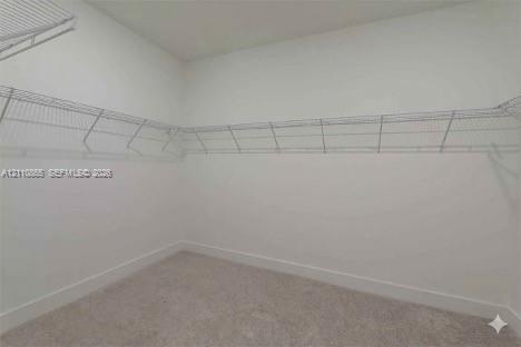 Walk-in closet featuring wall-to-wall carpeting and perimeter white wire shelving