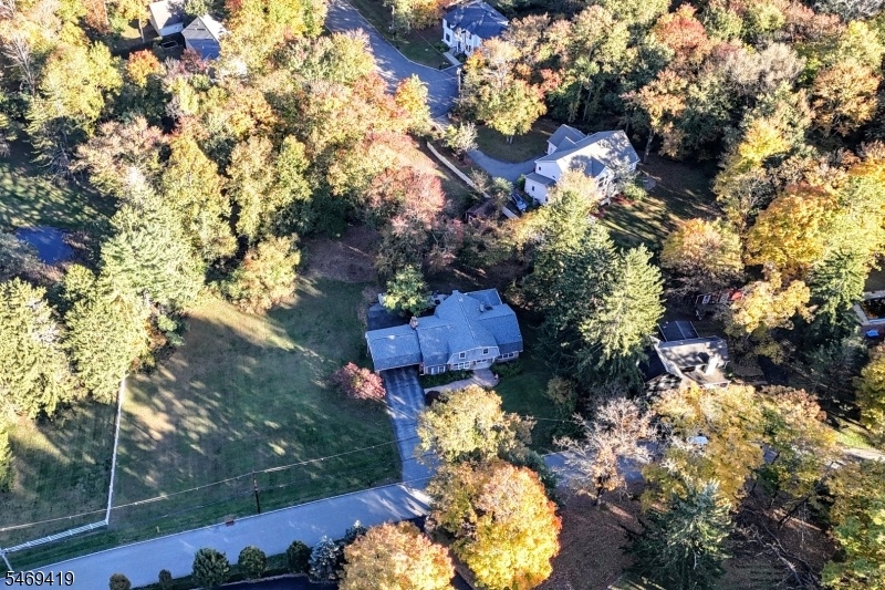 Birds Eye View