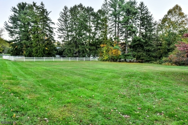 SIde Yard