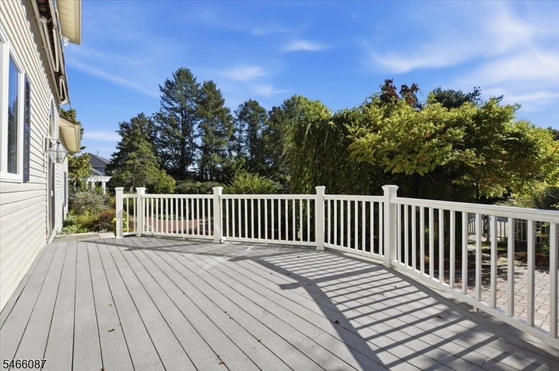 Large Deck