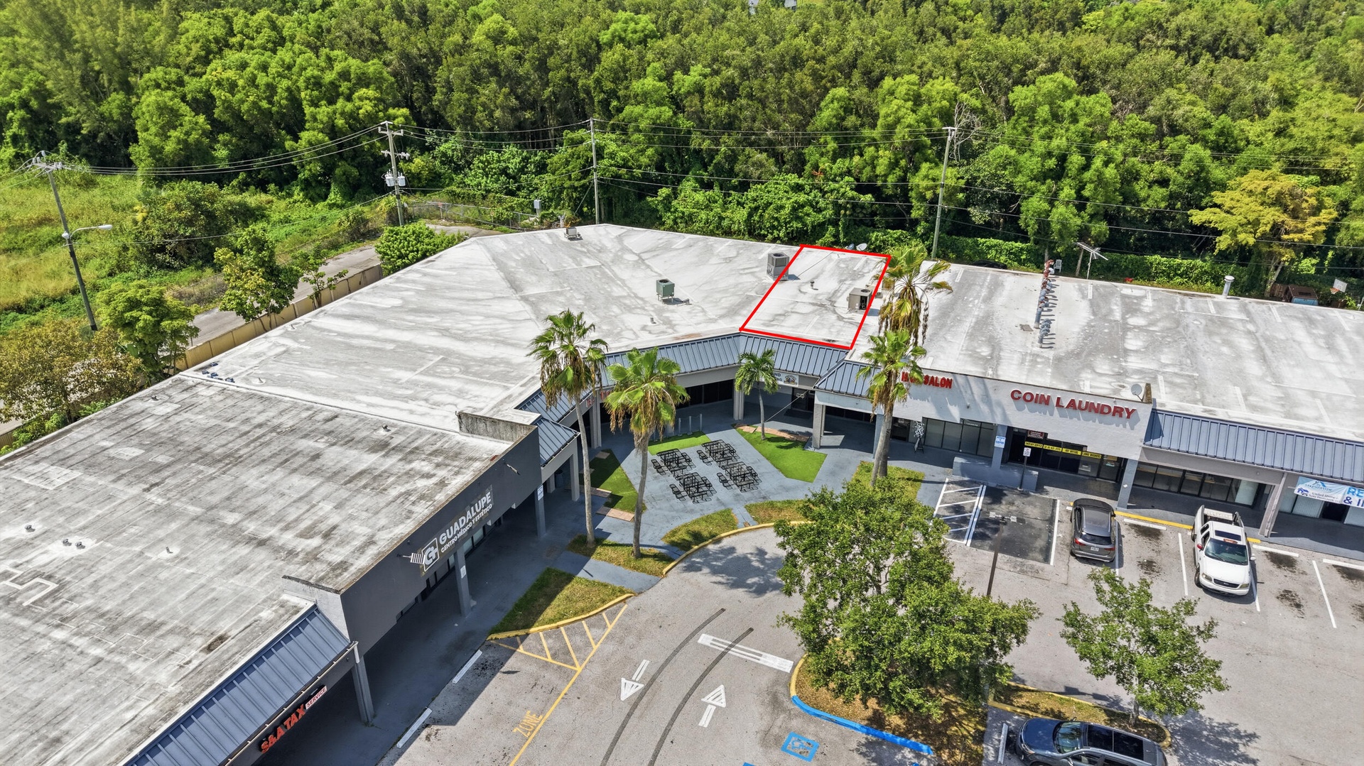 Commercial plaza featuring paved surface parking, paved exterior walkways, and mature palm landscaping