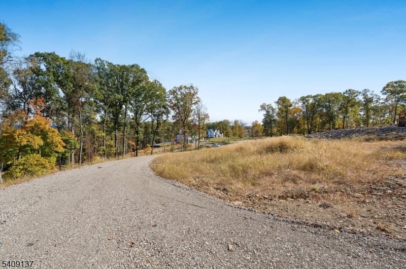 Driveway and view